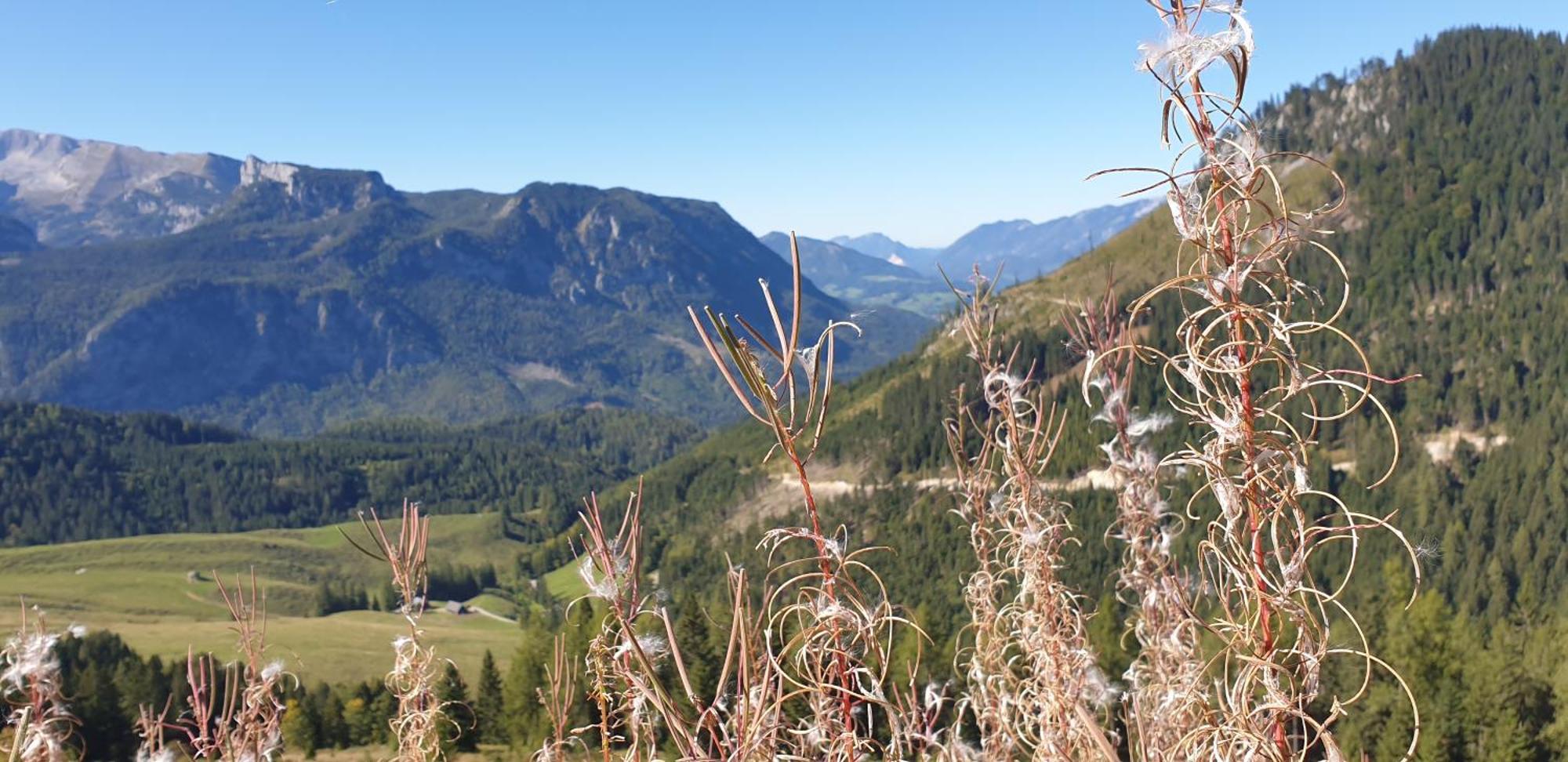 Ferienhaus Mountain View Spital Am Pyhrn Esterno foto